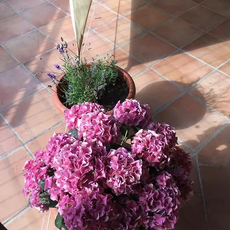 Apartament Mit Grand Terasse * להר